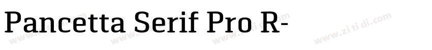 Pancetta Serif Pro R字体转换
